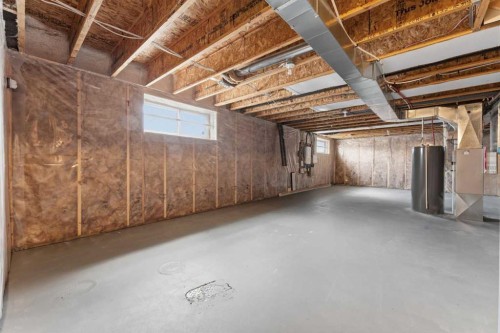7 Skyview Ranch Lane Ne, Calgary, AB - Indoor Photo Showing Basement
