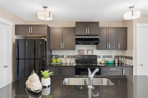 7 Skyview Ranch Lane Ne, Calgary, AB - Indoor Photo Showing Kitchen With Double Sink