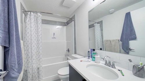 67 Setonstone Row Se, Calgary, AB - Indoor Photo Showing Bathroom