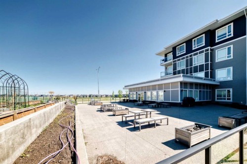 2305-76 Cornerstone Passage Ne, Calgary, AB 