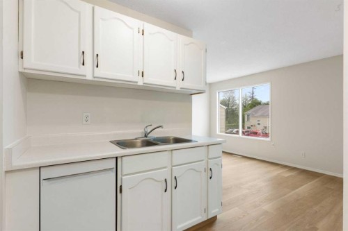 14-8544 48 Avenue Nw, Calgary, AB - Indoor Photo Showing Kitchen With Double Sink