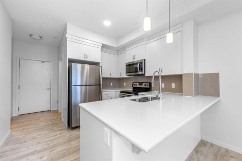 316-20 Seton Park Se, Calgary, AB 