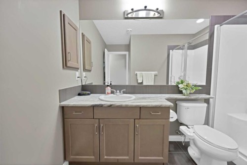 128 Nolanlake View North, Calgary, AB - Indoor Photo Showing Bathroom