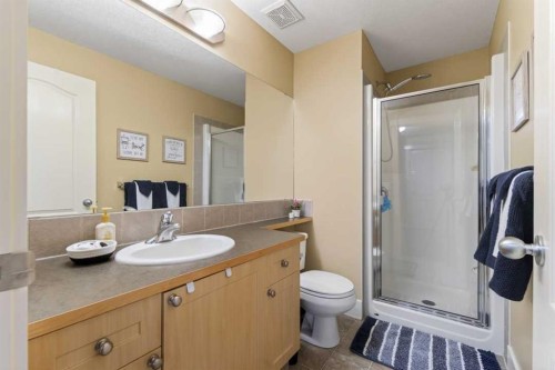 122 Discovery Ridge Way Sw, Calgary, AB - Indoor Photo Showing Bathroom