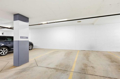 212-122 Mahogany Centre Se, Calgary, AB - Indoor Photo Showing Garage