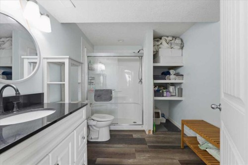 17 Bridlecrest Court Sw, Calgary, AB - Indoor Photo Showing Bathroom