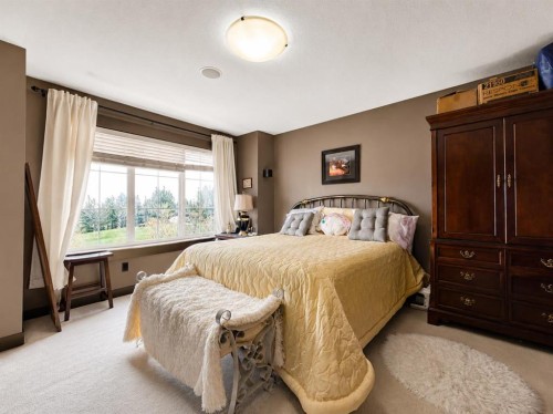 288 Rainbow Falls Drive, Chestermere, AB - Indoor Photo Showing Bedroom