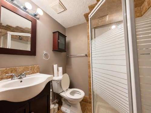 288 Rainbow Falls Drive, Chestermere, AB - Indoor Photo Showing Bathroom