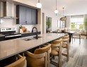 817 Marine Drive Se, Calgary, AB  - Indoor Photo Showing Kitchen With Stainless Steel Kitchen With Double Sink With Upgraded Kitchen 