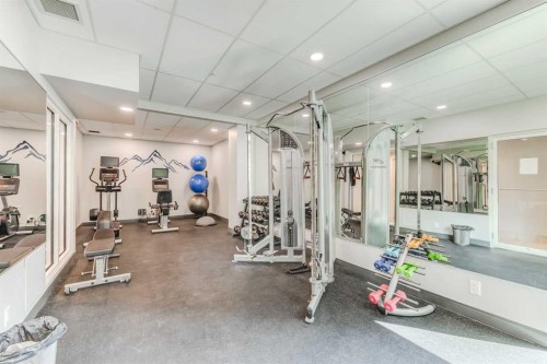 303-837 2 Avenue Sw, Calgary, AB - Indoor Photo Showing Gym Room