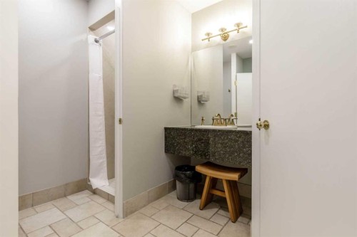 303-837 2 Avenue Sw, Calgary, AB - Indoor Photo Showing Bathroom