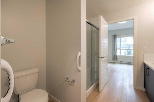 5116-20295 Seton Way Se, Calgary, AB - Indoor Photo Showing Bathroom