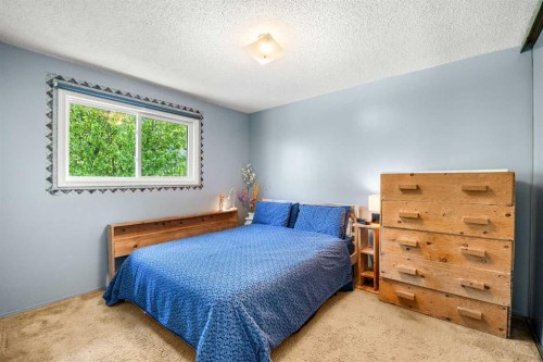 41 Castleglen Road Ne, Calgary, AB - Indoor Photo Showing Bedroom