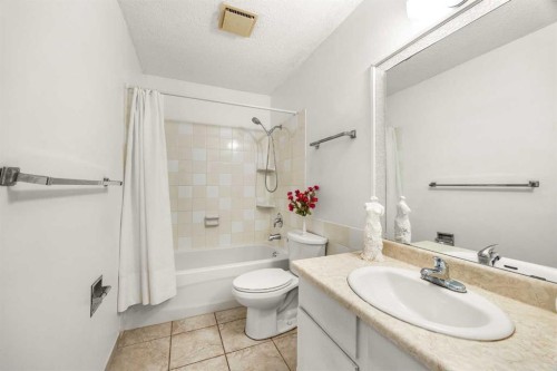 41 Castleglen Road Ne, Calgary, AB - Indoor Photo Showing Bathroom