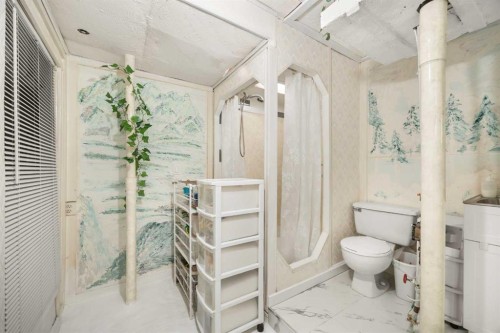 41 Castleglen Road Ne, Calgary, AB - Indoor Photo Showing Bathroom