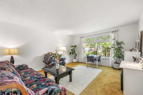 41 Castleglen Road Ne, Calgary, AB - Indoor Photo Showing Living Room