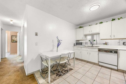 41 Castleglen Road Ne, Calgary, AB - Indoor Photo Showing Kitchen With Double Sink