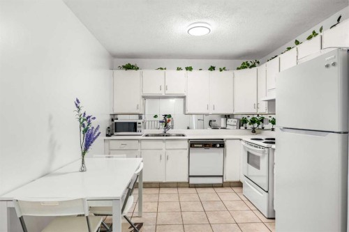 41 Castleglen Road Ne, Calgary, AB - Indoor Photo Showing Kitchen With Double Sink