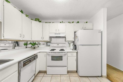 41 Castleglen Road Ne, Calgary, AB - Indoor Photo Showing Kitchen
