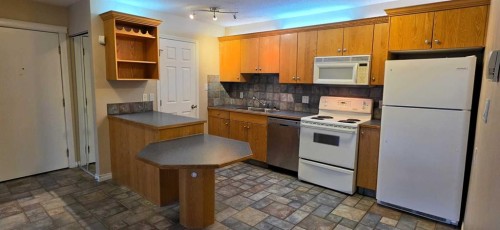 302-117 23 Avenue Sw, Calgary, AB 