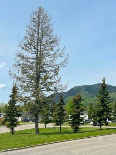 10629 104 Avenue, Grande Cache, AB - Outdoor With View