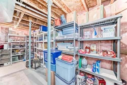 167 Fairways Close Nw, Airdrie, AB - Indoor With Storage