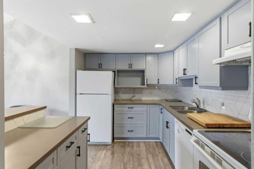 57-2225 Oakmoor Drive Sw, Calgary, AB - Indoor Photo Showing Kitchen With Double Sink