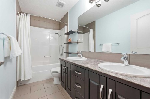 127 Marquis Grove Se, Calgary, AB - Indoor Photo Showing Bathroom