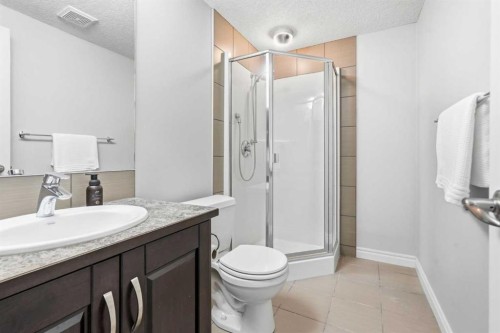 127 Marquis Grove Se, Calgary, AB - Indoor Photo Showing Bathroom