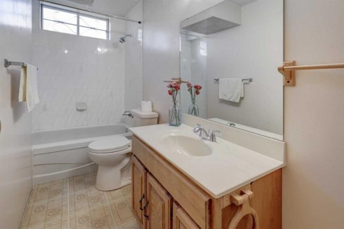 108 Templeview Place Ne, Calgary, AB - Indoor Photo Showing Bathroom