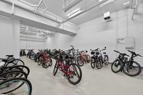 102-211 Quarry Way Se, Calgary, AB - Indoor Photo Showing Garage