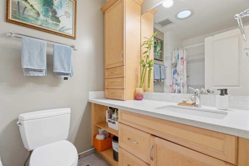 411 Wilderness Place Se, Calgary, AB - Indoor Photo Showing Bathroom