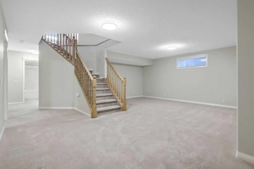 41 Cranston Drive Se, Calgary, AB - Indoor Photo Showing Basement