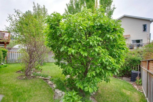 23 Tuscarora Close Nw, Calgary, AB - Outdoor
