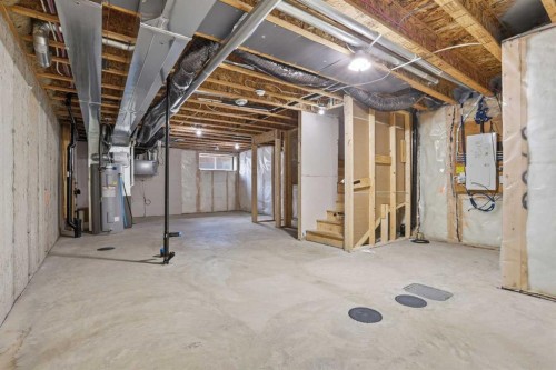 352 Dawson Drive, Chestermere, AB - Indoor Photo Showing Basement
