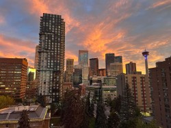 902-303 13 Avenue SWCalgary, AB T2R 0Y9