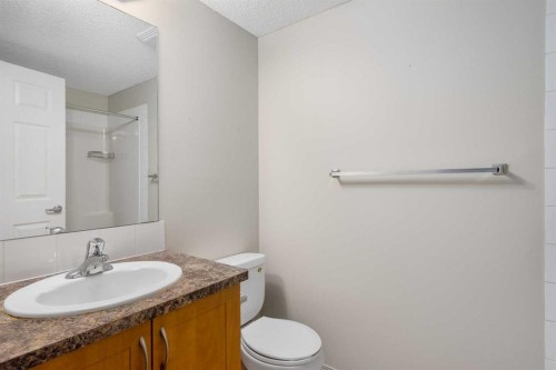 2327-700 Willowbrook Road Nw, Airdrie, AB - Indoor Photo Showing Bathroom