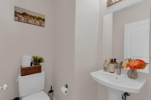 49 Heirloom Crescent Se, Calgary, AB - Indoor Photo Showing Bathroom