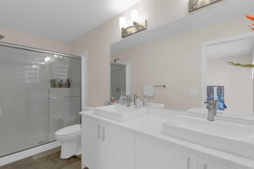 49 Heirloom Crescent Se, Calgary, AB - Indoor Photo Showing Bathroom