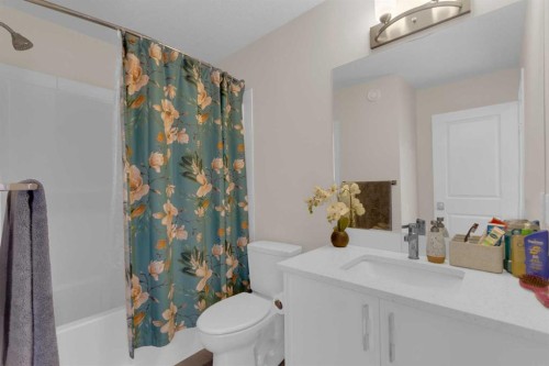 49 Heirloom Crescent Se, Calgary, AB - Indoor Photo Showing Bathroom