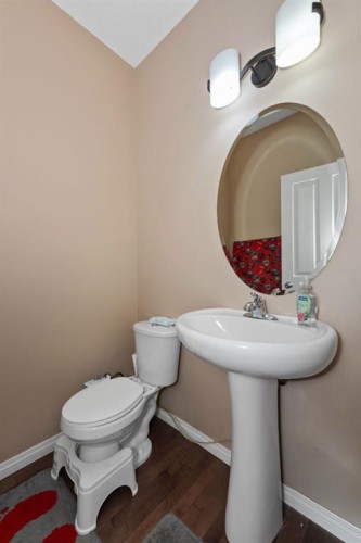 203 Morningside Circle Sw, Airdrie, AB - Indoor Photo Showing Bathroom