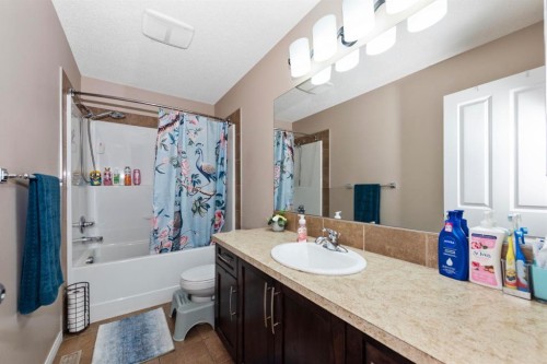 203 Morningside Circle Sw, Airdrie, AB - Indoor Photo Showing Bathroom
