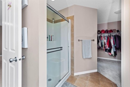203 Morningside Circle Sw, Airdrie, AB - Indoor Photo Showing Bathroom