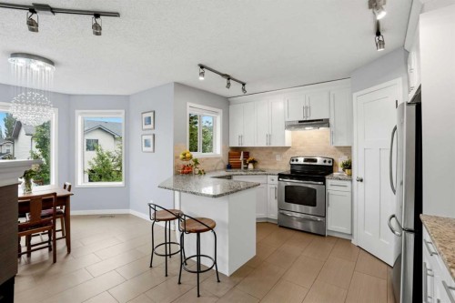 390 Douglas Ridge Circle Se, Calgary, AB - Indoor Photo Showing Kitchen With Stainless Steel Kitchen With Upgraded Kitchen