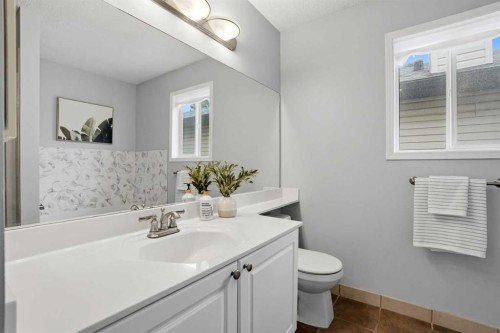 390 Douglas Ridge Circle Se, Calgary, AB - Indoor Photo Showing Bathroom