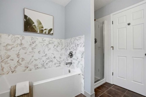 390 Douglas Ridge Circle Se, Calgary, AB - Indoor Photo Showing Bathroom