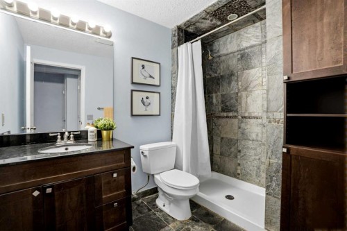 390 Douglas Ridge Circle Se, Calgary, AB - Indoor Photo Showing Bathroom