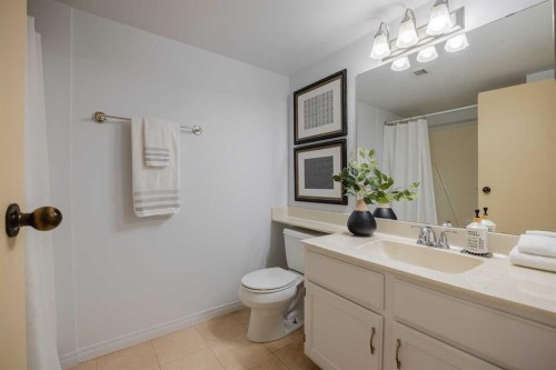 1003-80 Point Mckay Crescent Nw, Calgary, AB - Indoor Photo Showing Bathroom