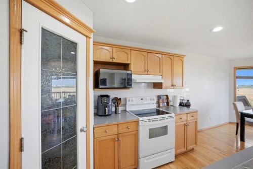 101 Coville Crescent Ne, Calgary, AB - Indoor Photo Showing Kitchen