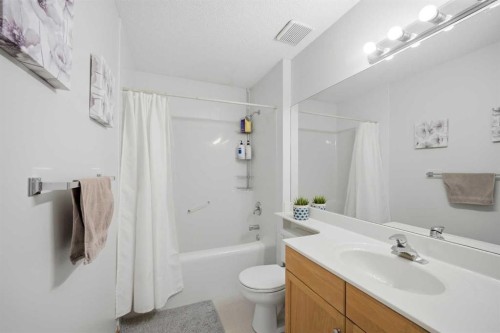 101 Coville Crescent Ne, Calgary, AB - Indoor Photo Showing Bathroom